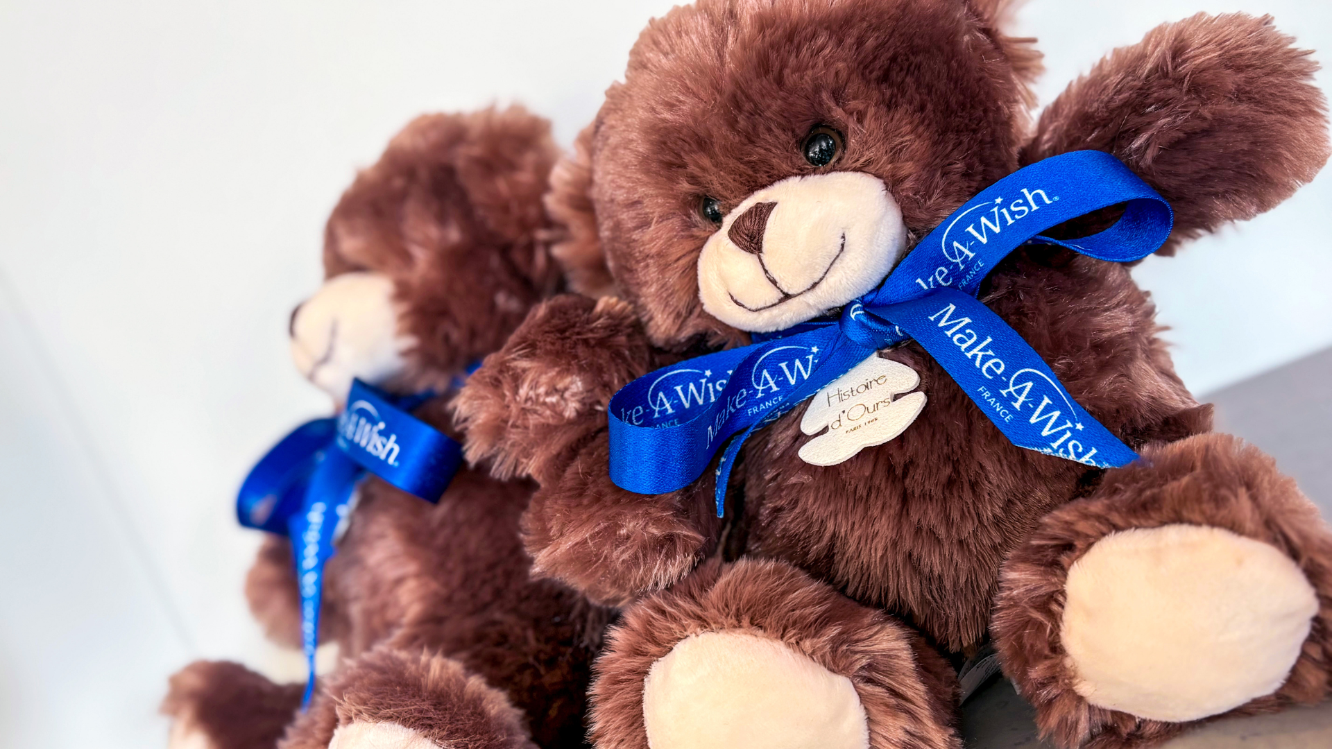 Les ours Histoire d’Ours se parent du ruban Make-A-Wish France